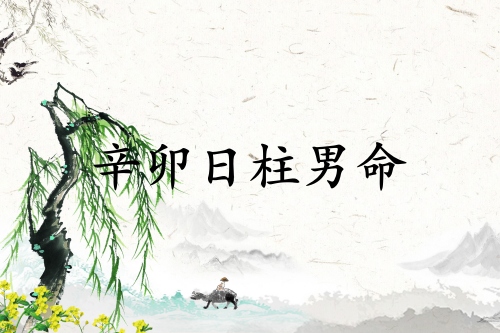辛卯日柱男命運(yùn)詳解