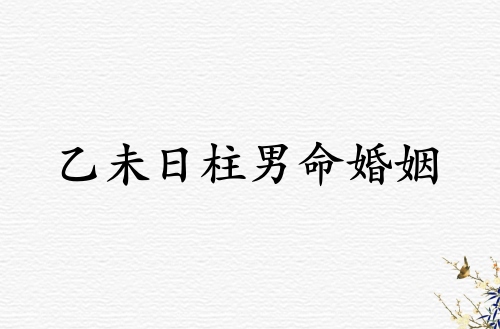 乙未日柱男命婚姻運勢解析
