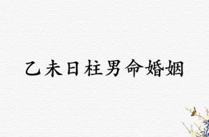 乙未日柱男命婚姻運(yùn)勢解析