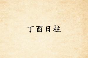 丁酉日柱三命通會(huì)精論