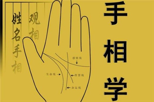 手相入門基礎知識大全