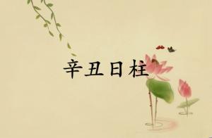 辛丑日柱三命通會(huì)精論詳解