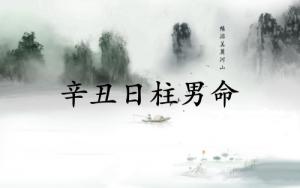 辛丑日柱男命運(yùn)詳解