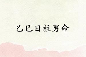 乙巳日柱男命運詳解