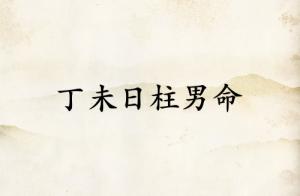 丁未日柱男命運詳解