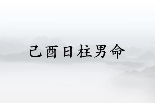 己酉日柱男命運(yùn)詳解
