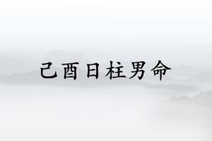 己酉日柱男命運詳解