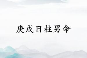 庚戌日柱男命終身命運
