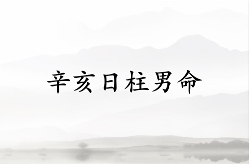 辛亥日柱男命運(yùn)詳解