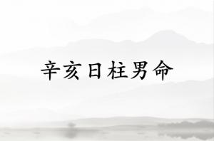 辛亥日柱男命運詳解