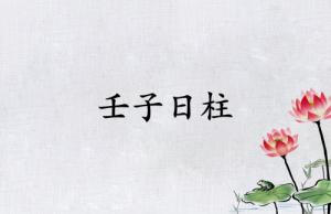 壬子日柱三命通會精論解析
