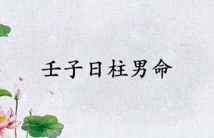 壬子日柱男命運詳解