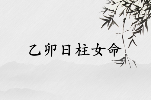 乙卯日柱女命運(yùn)詳解