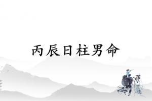 丙辰日柱男命運(yùn)詳解