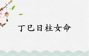 丁巳日柱女命運(yùn)詳解