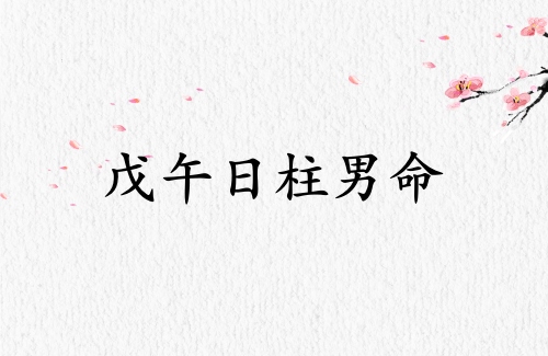 戊午日柱男命運(yùn)詳解