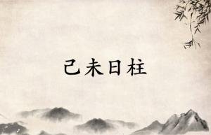 己未日柱三命通會(huì)精論詳解