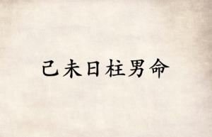己未日柱男命運(yùn)詳解