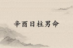 辛酉日柱男命運(yùn)詳解