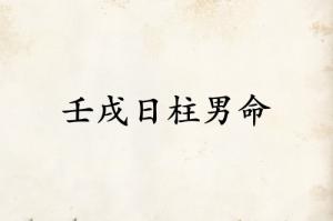 壬戌日柱男命運(yùn)詳解