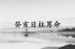 癸亥日柱男命運(yùn)詳解