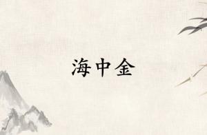 海中金是弱金還是強(qiáng)金
