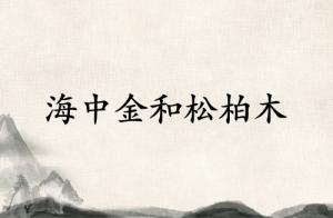 海中金和松柏木合伙做事業(yè)好嗎