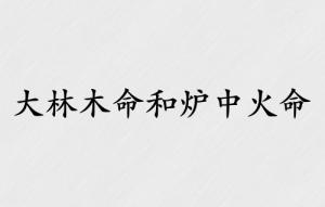 大林木命和爐中火命的結合好嗎