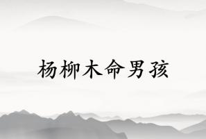 楊柳木命男孩命運(yùn)如何