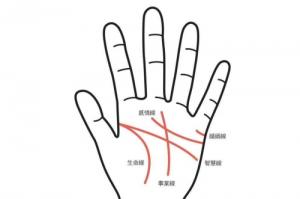 沒(méi)有感情線(xiàn)的手相是怎么回事