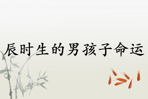 辰時生的男孩子命運如何