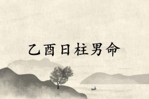 乙酉日柱男命2025年運勢