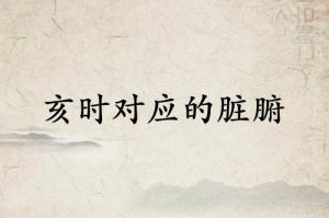 亥時是什么經(jīng)絡(luò)當令
