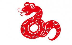 屬蛇人跟誰一起財(cái)運(yùn)好
