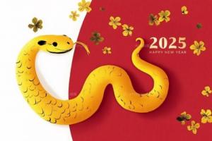 屬蛇2025年的特大貴人
