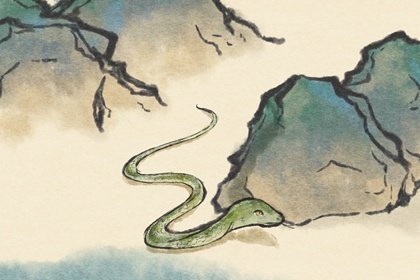 屬蛇驚蟄當天出生好嗎