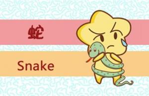 蛇年出生的人命運如何