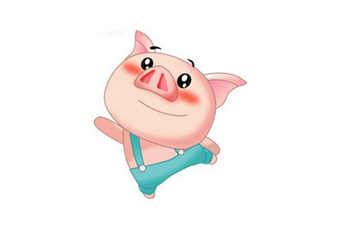 豬年出生的人命運(yùn)如何