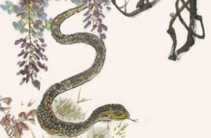 屬蛇人37歲后財運(yùn)爆棚了嗎