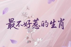 十二生肖中最不好惹的生肖是哪個生肖？